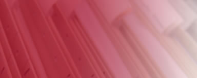 Öffentliches Beschaffungswesen/Umsetzung von PPP- Modellen Schmidt/Bechtle GmbH